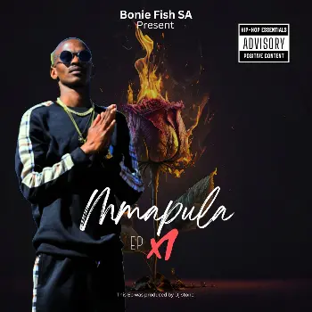 Music cover art